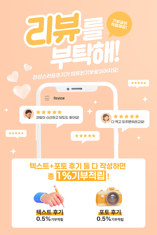 메인 팝업